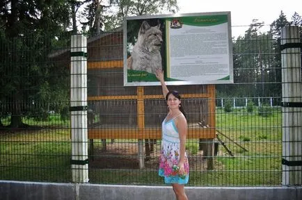 Bialowieza Forest Reserve információkat, mit kell látni, hogyan juthatunk el oda, ahol maradni, fotók