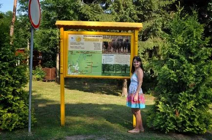 Bialowieza Forest Reserve információkat, mit kell látni, hogyan juthatunk el oda, ahol maradni, fotók