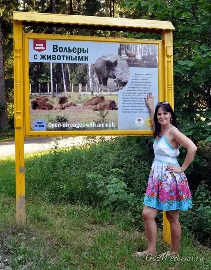 Bialowieza Forest Reserve információkat, mit kell látni, hogyan juthatunk el oda, ahol maradni, fotók