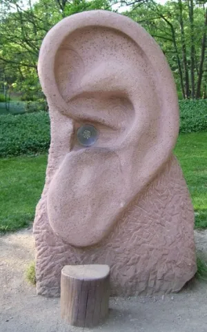 Sound & Information
