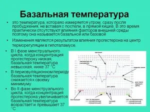 Hogyan lehet növelni a bazális hőmérséklet Hogyan lehet növelni a bazális hőmérséklet