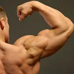 A deltoid meg