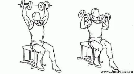 A deltoid meg A deltoid meg