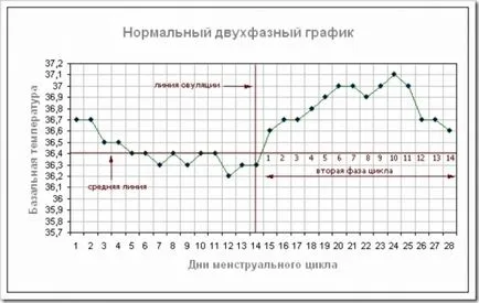 Hogyan lehet növelni a bazális hőmérséklet Hogyan lehet növelni a bazális hőmérséklet