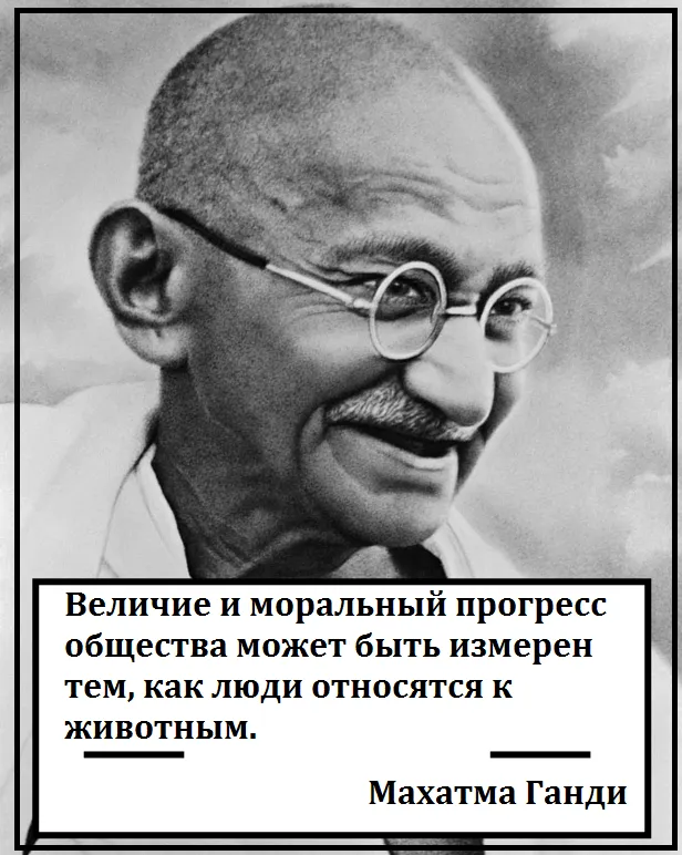 Mi történik, ha van egy test Mi történik, ha van egy test