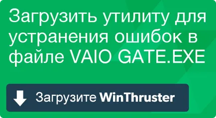 Mi vaio kapu