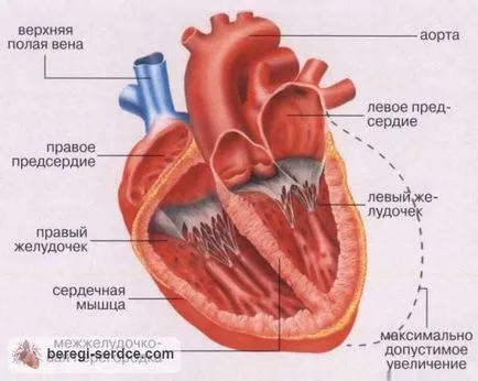 Szívelégtelenség fokozat Szívelégtelenség fokozat