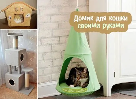 Hogyan építsünk egy házat a macskát Hogyan építsünk egy házat a macskát