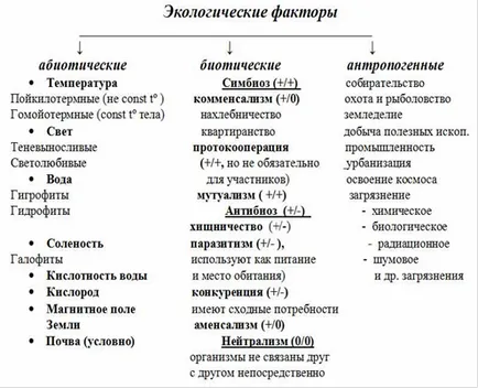 Melyek a környezeti tényezők, a környezet