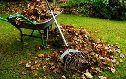 Hogyan keverjük a földre Hogyan keverjük a földre