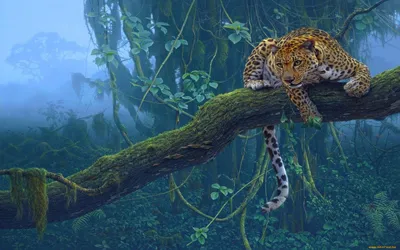 Jaguar, mi ez