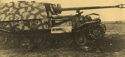 Mi az Elephant