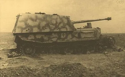 Mi az Elephant