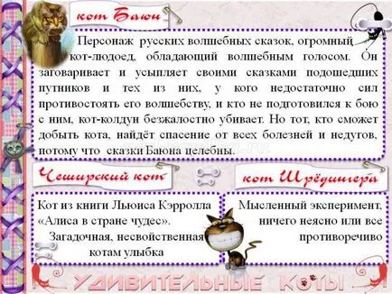 Magazinok macskák Magazinok macskák