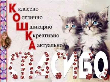 Magazinok macskák Magazinok macskák