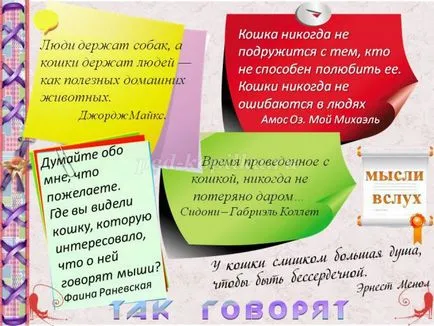 Magazinok macskák Magazinok macskák