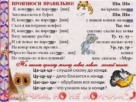Magazinok macskák Magazinok macskák