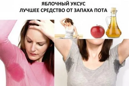 Hogyan elpusztítani szúnyogok