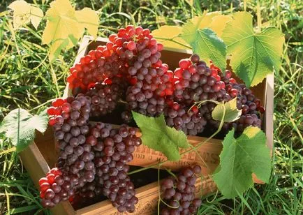 Üzleti kis dolgom Üzleti kis dolgom