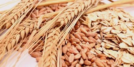 Mi pancreatitis a hasnyálmirigy