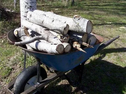 Kerti útját vágja a fát