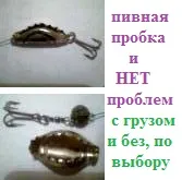 Hogyan halat fogni