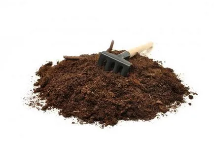 Hogyan keverjük a földre Hogyan keverjük a földre