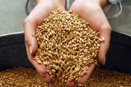 Hogyan számoljuk ki az export