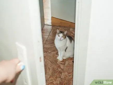 A macska nem ugrik