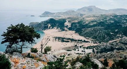 Helyesírás az élelmiszer