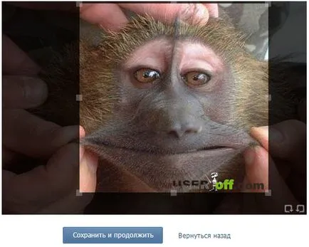 A csoportos beszélgetések, hogy