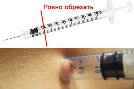 Hogyan vonjuk ki a kullancs