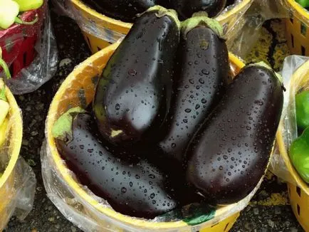 Hogyan nőnek eper a nyílt terepen