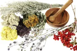 Hogyan, hogy a gyomor nem rendelkezik