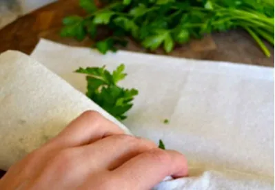 Hogyan kell tárolni a gyógynövények hűtőszekrényben