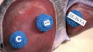 Abból, amit a hepatitis