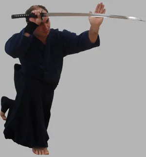 Mi Katori Mi Katori