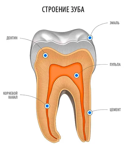 szuvasodás a dentin