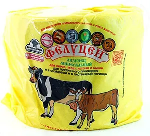 tejelő borjak tejelő borjak