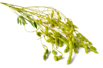 polyosteoarthrosis kezelés