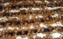 Üzleti kis dolgom Üzleti kis dolgom