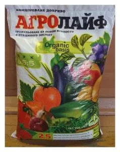 Hogyan ültetni hagyma zöldek