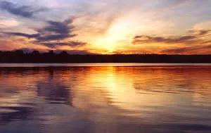 Hogyan, hogy a halakat a Volga Hogyan, hogy a halakat a Volga
