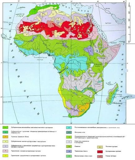 Hogy a nő Afrikában