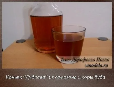 Hogyan készítsünk egy tinktúra otthon