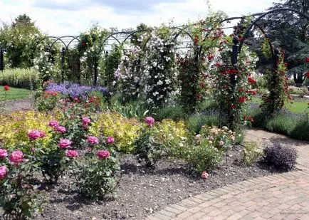 Hogyan építsünk egy pergola