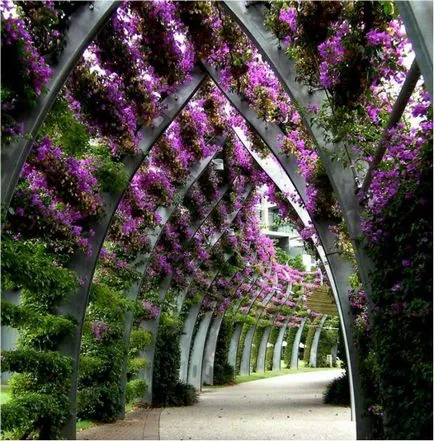Hogyan építsünk egy pergola