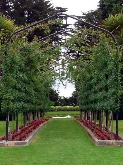 Hogyan építsünk egy pergola