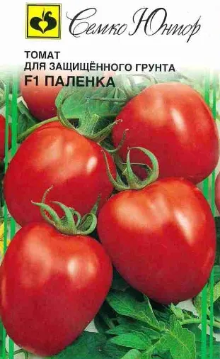 A különböző paradicsom az üvegházhatást okozó A különböző paradicsom az üvegházhatást okozó