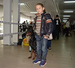 A képzési költség kutyák